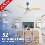 Hanging 50hz Color Changing Ceiling Fan With Light And Remote