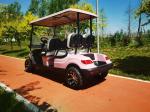 Pink Color 4 Seater Golf Cart Wheelbase 1630mm AC Motor 3.5 KW Ground Clearance