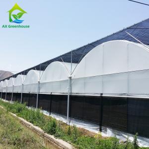 Wholesale Commercial Customized Multi Span Agricultural Film Poly Tunnel Vegetable Greenhouse from china suppliers