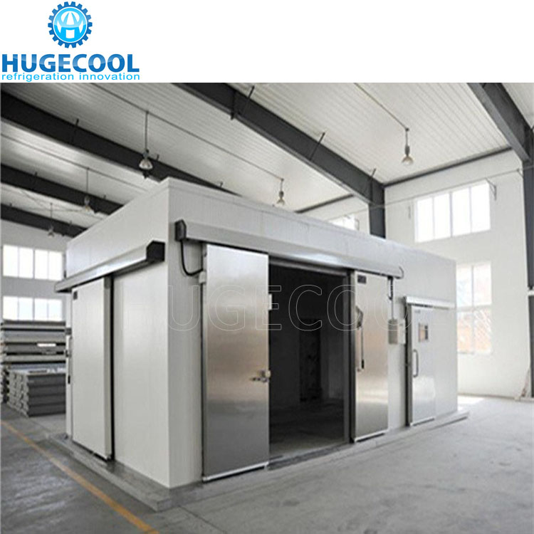Cold Room Sliding Door Hinged Door