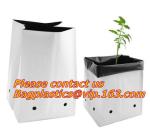 Horticulture, NURSERY, PLANTER, SEED, PLASTIC GROW BAGS, HYDROPONICS, FLOWERPOTS