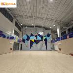 Organic Fiberglass Board Outdoor Climbing Wall 25 Passenger