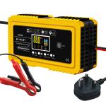 Low Tension Protection Automatic 12V20A 24V10A GEL AGM Lead Acid Battery Charger