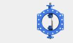 AWWA C504 Double Flanged Eccentric Butterfly Valve SS316 Coated Disc