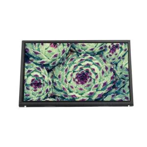 Wholesale LTL106AL01-001 10.6 inch 1366*768 LCD Screen Display from china suppliers