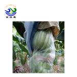 Plastic Zipper 100gsm Spunbond Fruit Protection Mesh Bags