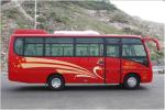 Dongfeng Used Coaches And Buses 2010 Year 24-31 Seats CCC ISO Certificated