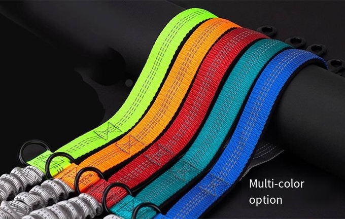 Pet Belt Elastic Night Reflective Silk Drawstring Traction Rope Outdoor Running Hands Free Dog Leash