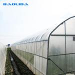 200 Micron Pe Film Greenhouse Agricultural Tomatoes Growing Tunnel Plastic