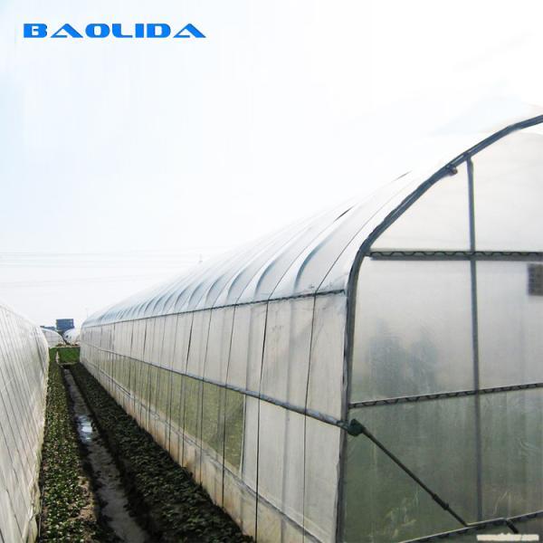 200 Micron Pe Film Greenhouse Agricultural Tomatoes Growing Tunnel Plastic