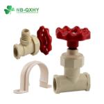 CPVC Fittings Female Adapter for Your Requirements Pressure Rating Pn16 Standard