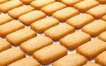 PD400 CE Certification Hot Sale Wire Cutting Cookies Making Machine Customized
