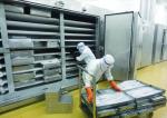 IQF Blast Freezer Hydraulic Quick Freezer for Shrimp Fish