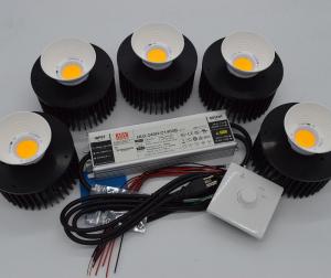 Wholesale High Efficiency 250W Grow Lights For Indoor Plants with Vero29 COB Led Flowering Grow Lights from china suppliers