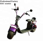 EcoRider 2 wheel electric scooter 1500w brushless hub motor with big fat tire