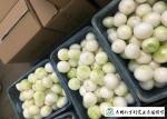 Natural Fresh Onions , Fresh White Onion Suitable Dry Storage Environment