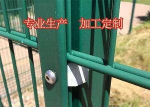 Wholesale PVC Coated L2.5m Double Wire Welded Fence 20GP PVC Chicken Wire Fence from china suppliers