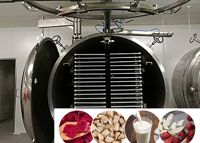 Industrial Vacuum Lyophilizer Freeze Dryer 100Kg/Batch