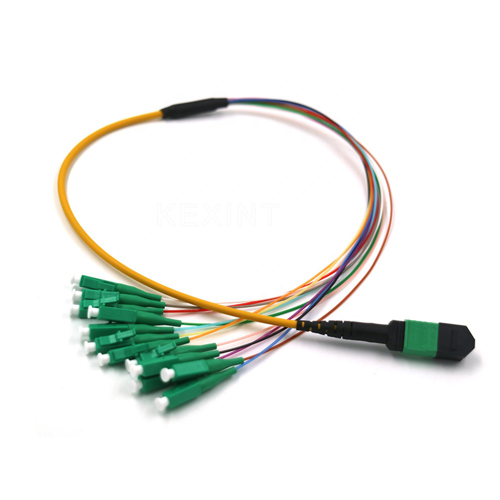 OM3 OM4 G657A Fiber Optic Trunk Cable 24 Core MTP MPO LC Connector