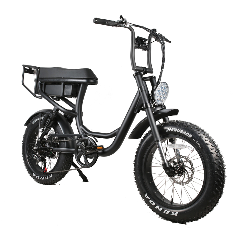 Front Fork Suspension Fork ODM/OEM Electric Fat Tire Bike Retro Big Saddle Bike 48V 750W