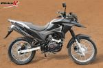 250cc Air Cooled Dual Sport Motorcycles Off Road Single Cylinder Bikes