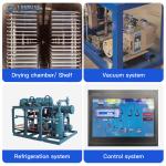 100kg 200kg 500kg Industrial Freeze Dryer Commercial Freeze Dry Machine For Food