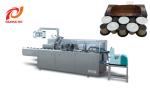 1500boxes/H Nespresso Coffee Capsule Packing Machine