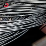 Ready Stock 1006 1008 1022 Ms Raw Material of Wire Nail High Carbon Steel Wire