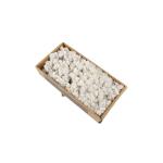 Stabilized Preserved Moss Balls , Luxury Dried Reindeer Moss Home Decor