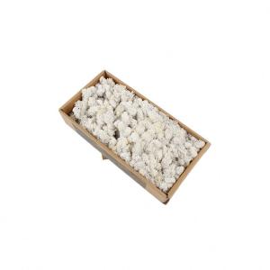 Wholesale Stabilized Preserved Moss Balls , Luxury Dried Reindeer Moss Home Decor from china suppliers