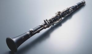 Wholesale constansa instrumentProfessional Performance Level Ebony Wood Silver Plated 18 Keys 4 Rings G Tone German Style Clarinet from china suppliers