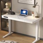 2023 Design Modern Luxury CEO Office Wooden Desk White Electric Table for Adult