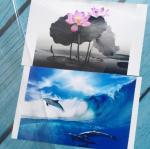 Laser Colorful Car Film, Pvc Self-adhesive Laser Lettering Car Stickers,