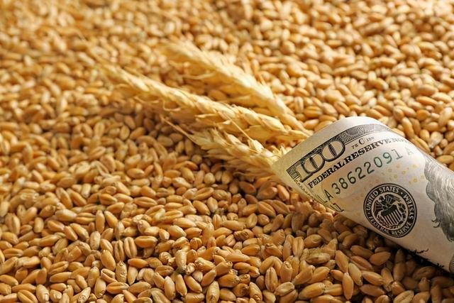 1kg rice Vertical Filling Machine 500-1000g Wheat, Sorghum, Corn Metering Cups Vertical Form Fill And Seal Machine