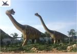 Amusement Park Equipment Real Life Size Dinosaurs , Dinosaur Lawn Ornament
