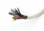 Gray 25 Pairs CAT5e UTP Cable , Twisted Pair Cable In Networking 0.5mm Solid