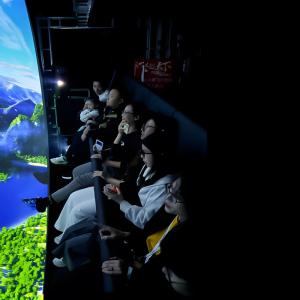 Wholesale Virtual Park Equipment Visual Experience Movie Theatre Dome Screen Projector Flying Cinema from china suppliers