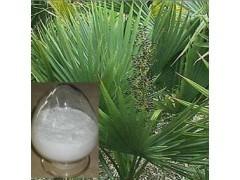Wholesale Herb medecine Saw Palmetto Extract Fatty acid 45% from china suppliers