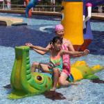 Spray Crocodile Aqua Play Water Sprayground Equipment for Water Park