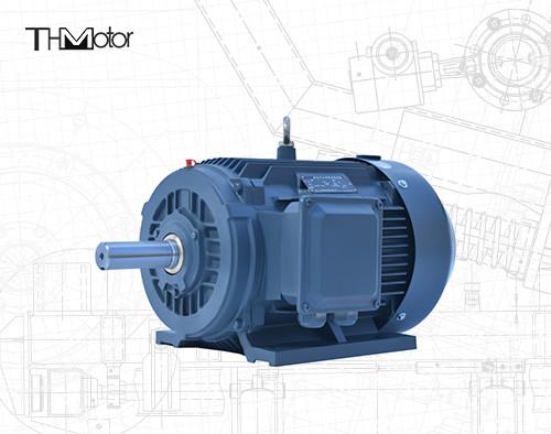 IP54/IP55 Voltage DC Motor 4/6 Poles 0.4-75kw Power Hollow Shaft Speed 1000 -