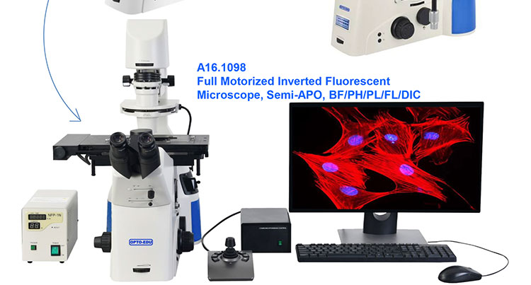 OPTO-EDU A16.1098 Full Motorized Opto Edu Microscope Semi APO BF / PH / PL / FL / DIC