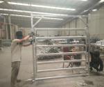 Sliver / Green / Red Color Cattle Corral Panels Removable 2100mmL*1800mmH