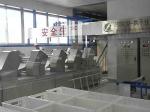 The Dried Buckwheat Noodles Processing Machine Production Line