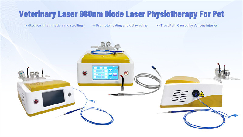 980nm Diode Veterinary Laser Therapy For Pets Wound Healing