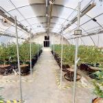 Poly Tunnel 10x20 Light Deprivation Greenhouse For Herb Planting