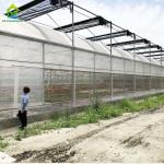 Hot Galvanized Steel Plastic Film Greenhouse For Agricultural