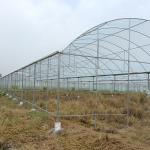 Steel Structure Polythene Tunnel 4 Mil Plastic Sheeting Greenhouse