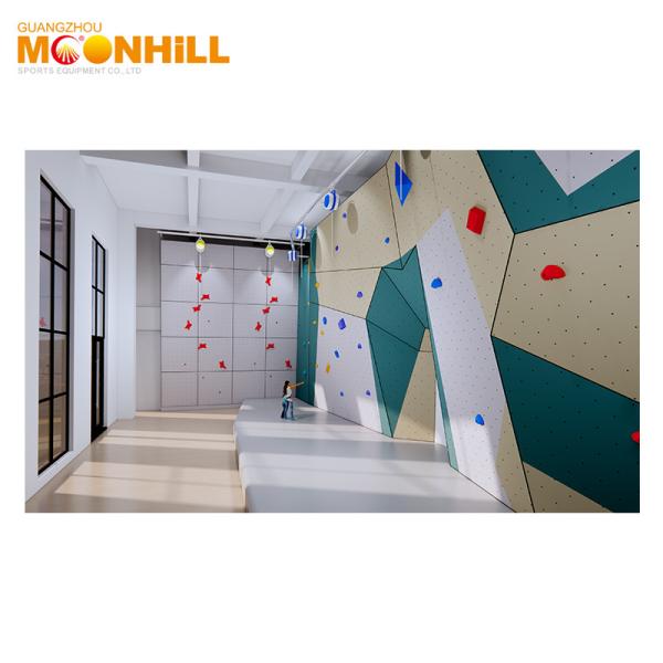 Waterproof Rock Climbing Wall Panels Theme Park Fitness Rock Climbing Training