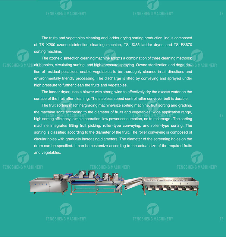 Circulating Hole Fruit Processing Line , Tengsheng Roller Conveying Vegetable Processing Line