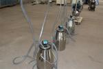HL-JN10 Cow Farm Pail Bucket Milking Machine with Electric Motor 380V 50Hz